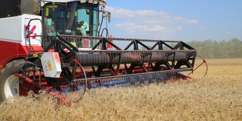  В Ростовской области рекордные урожаи зерновых культур