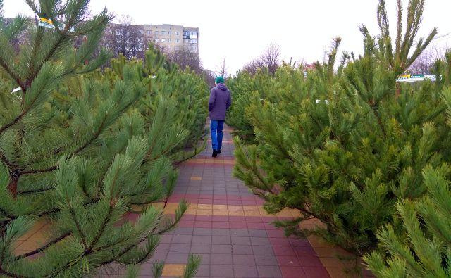  30 елочных базаров откроется в Ростове, а вот фейерверка на Новый год не будет