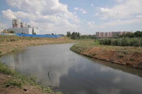 Власти Ростова сообщили о планах создания дизайн-проекта «второй мили» экопарка вдоль реки Темерник