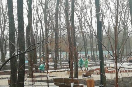 При благоустройстве парков в Ростове растратили бюджетные средства