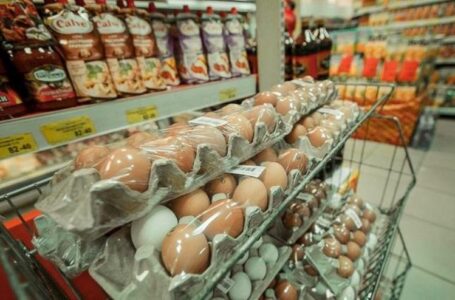 В Ростовской области резко подорожали куриные яйца