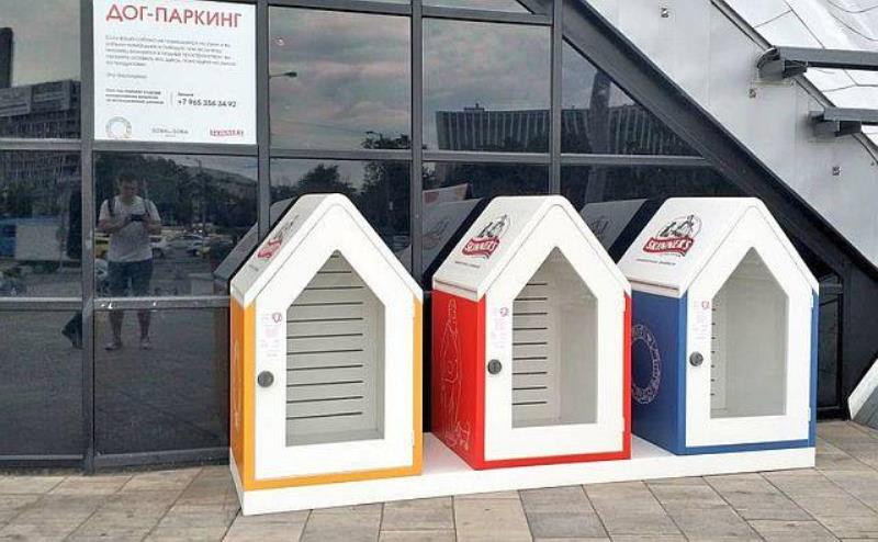  Парковку для собак хотят построить в Ростове
