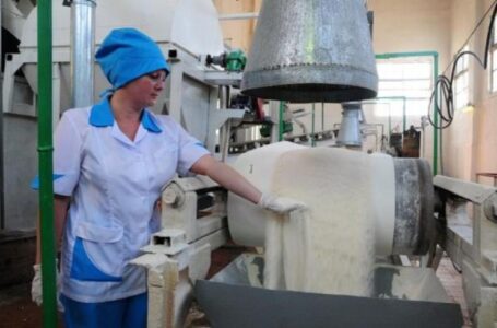 Осенью в Ростовской области начнут строить сахарный завод