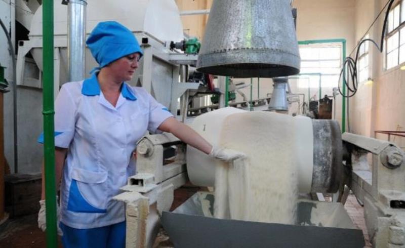  Осенью в Ростовской области начнут строить сахарный завод