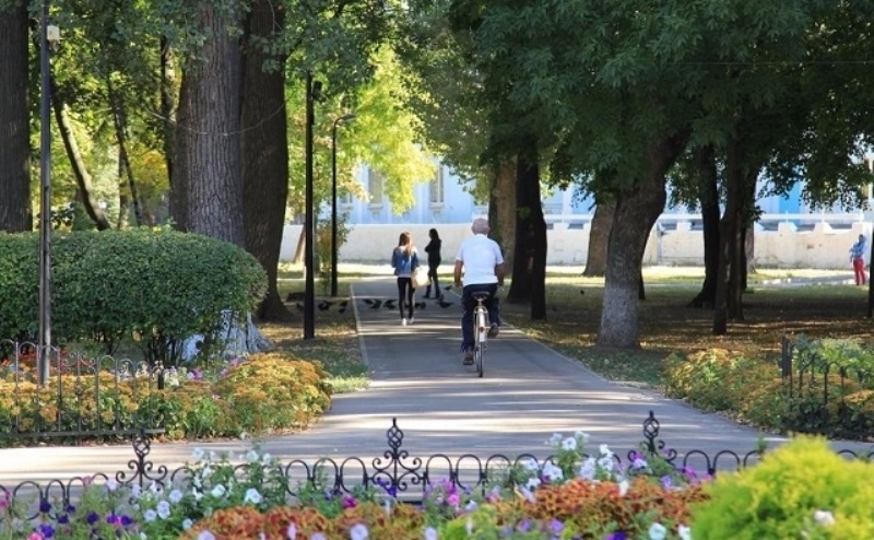  Власти Ростова разрешили вырубать деревья в парке Островского