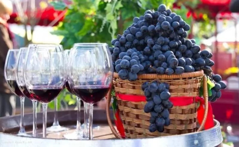  В Ростовской области будут развивать винный туризм