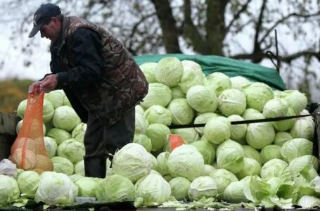 В Ростовской области за год подорожали почти все продукты питания
