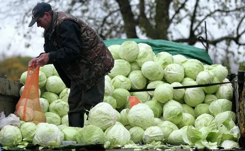 В Ростовской области за год подорожали почти все продукты питания