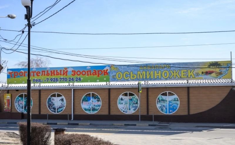  Аквапарк «Осьминожек» не разрешают снести властям Ростова