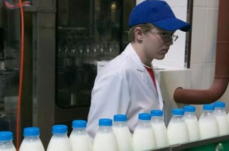 Кагальницкому молокозаводу запретили выпуск молока