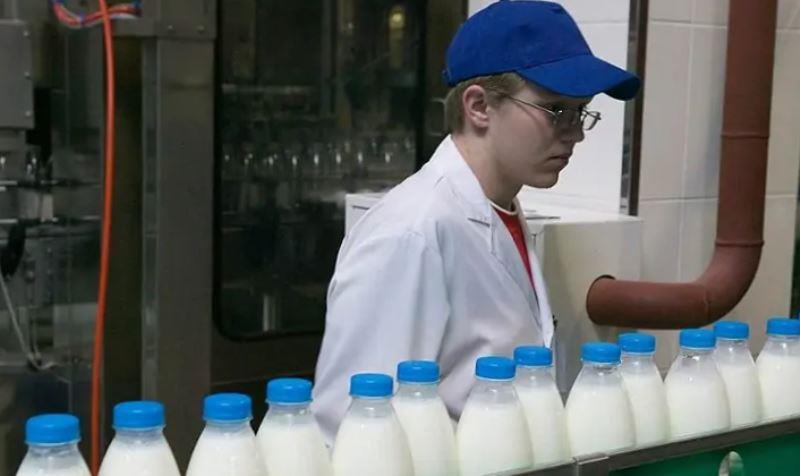  Кагальницкому молокозаводу запретили выпуск молока